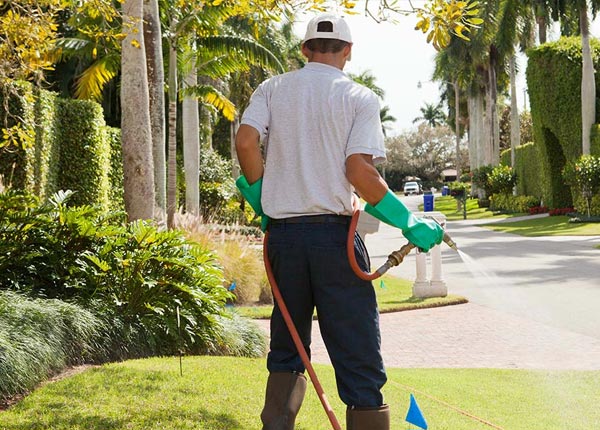 About Wallace NE Pest Control